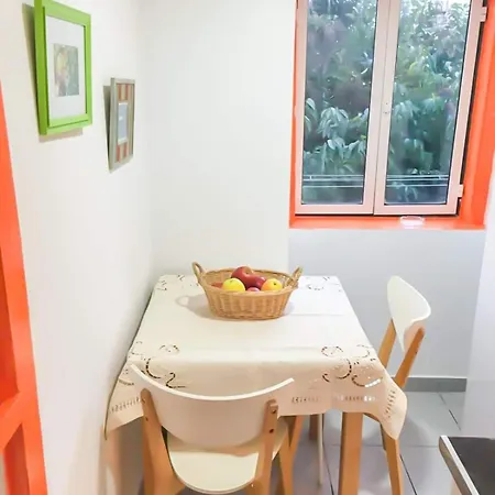 Fado! Cozy Flat Next To Flowers Garden Apartman